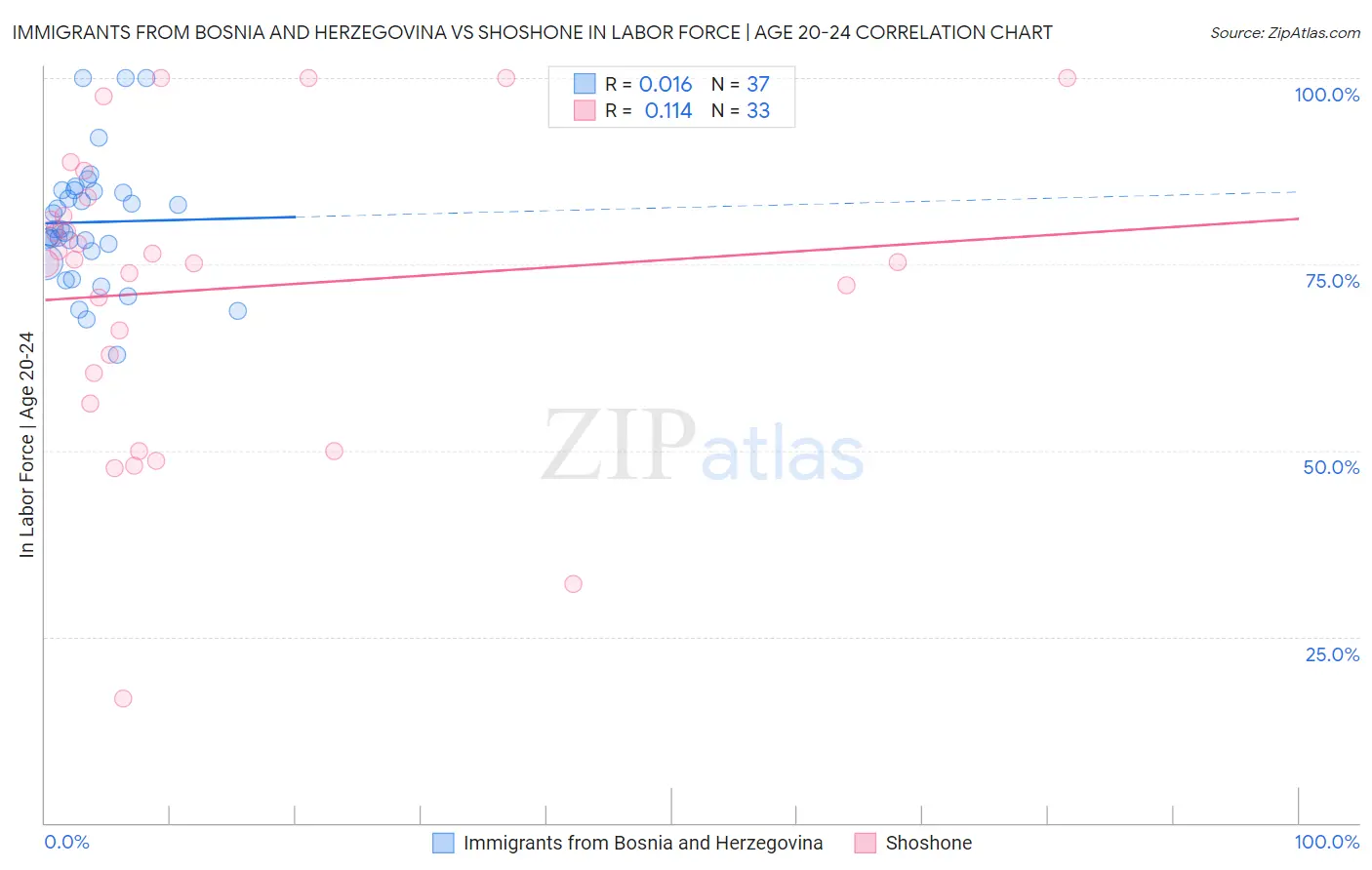 Immigrants from Bosnia and Herzegovina vs Shoshone In Labor Force | Age 20-24