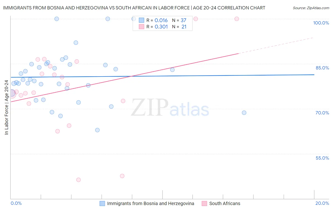 Immigrants from Bosnia and Herzegovina vs South African In Labor Force | Age 20-24