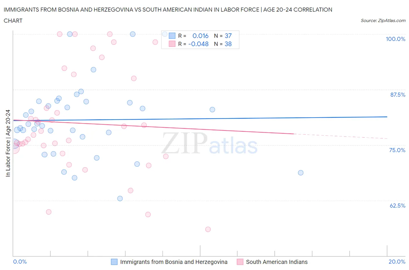 Immigrants from Bosnia and Herzegovina vs South American Indian In Labor Force | Age 20-24