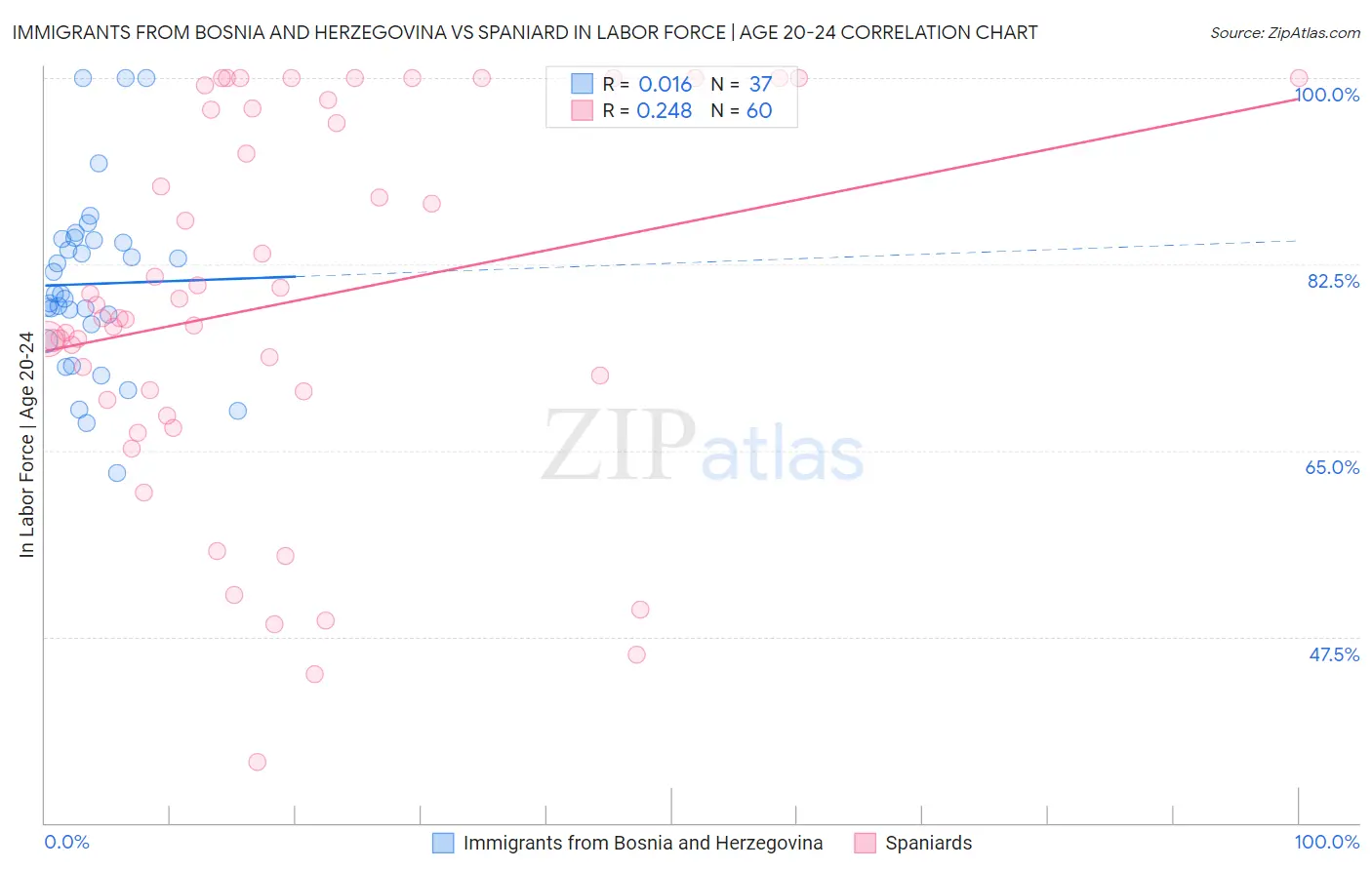 Immigrants from Bosnia and Herzegovina vs Spaniard In Labor Force | Age 20-24