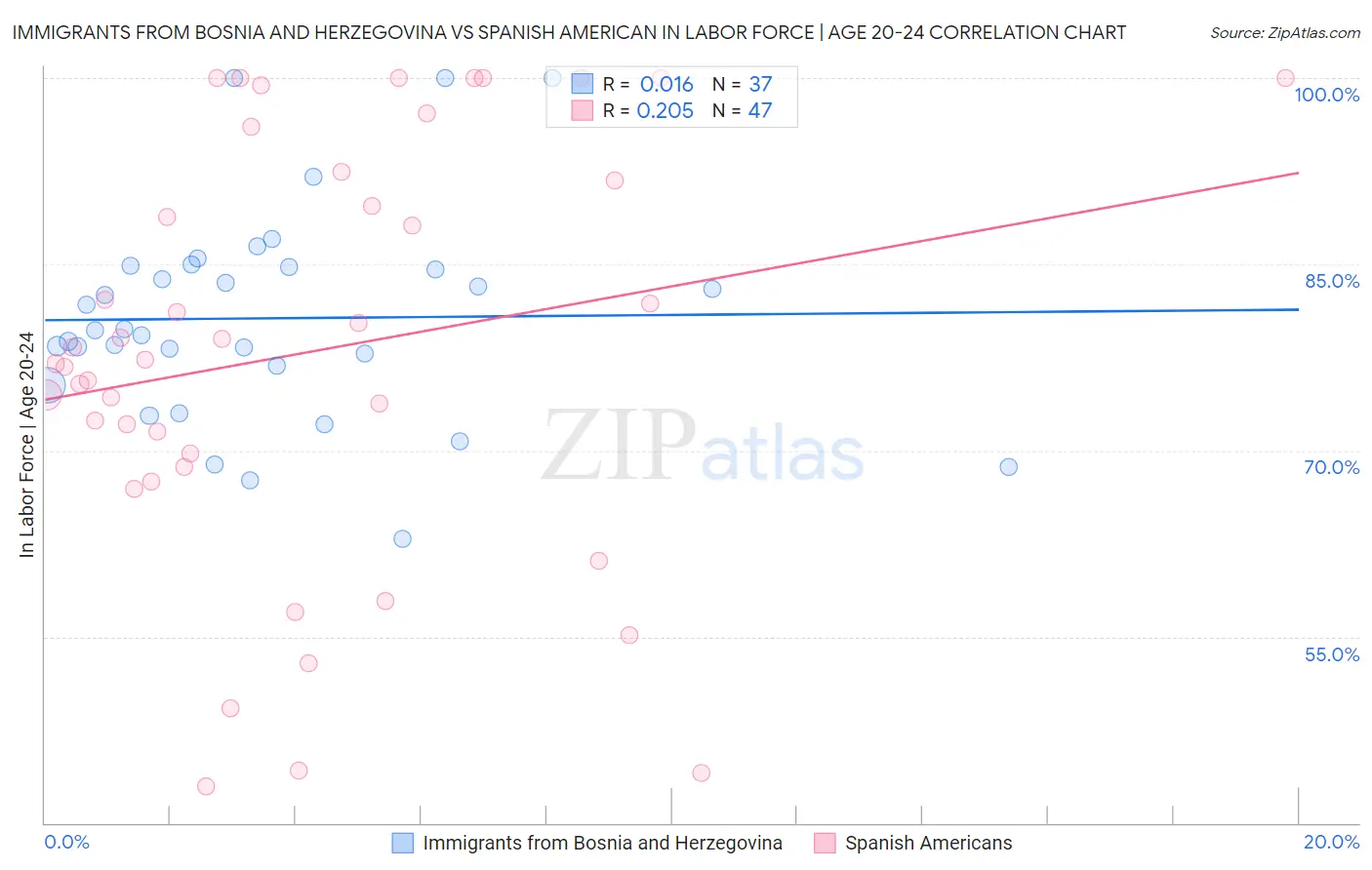 Immigrants from Bosnia and Herzegovina vs Spanish American In Labor Force | Age 20-24