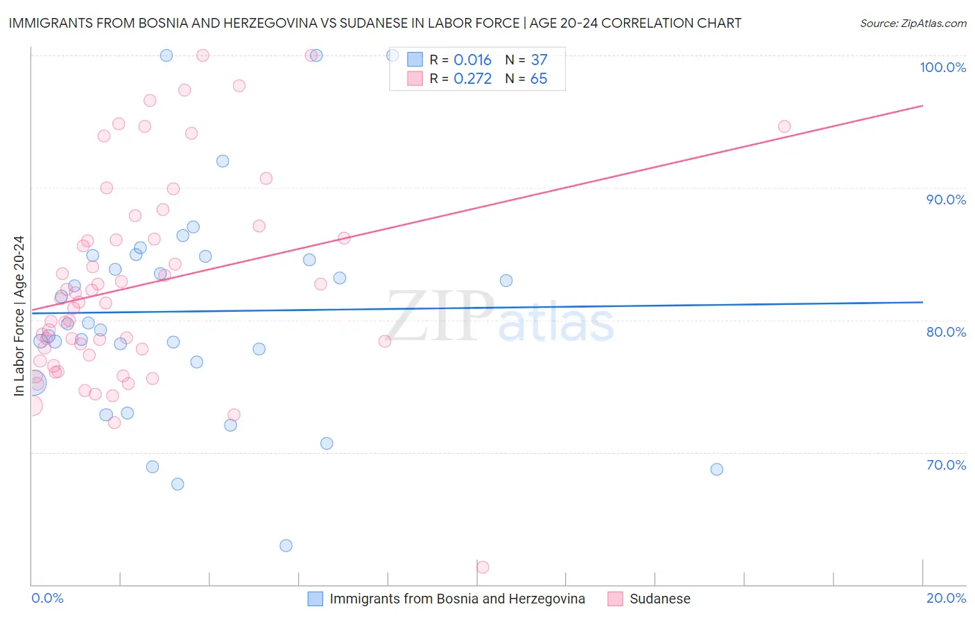 Immigrants from Bosnia and Herzegovina vs Sudanese In Labor Force | Age 20-24