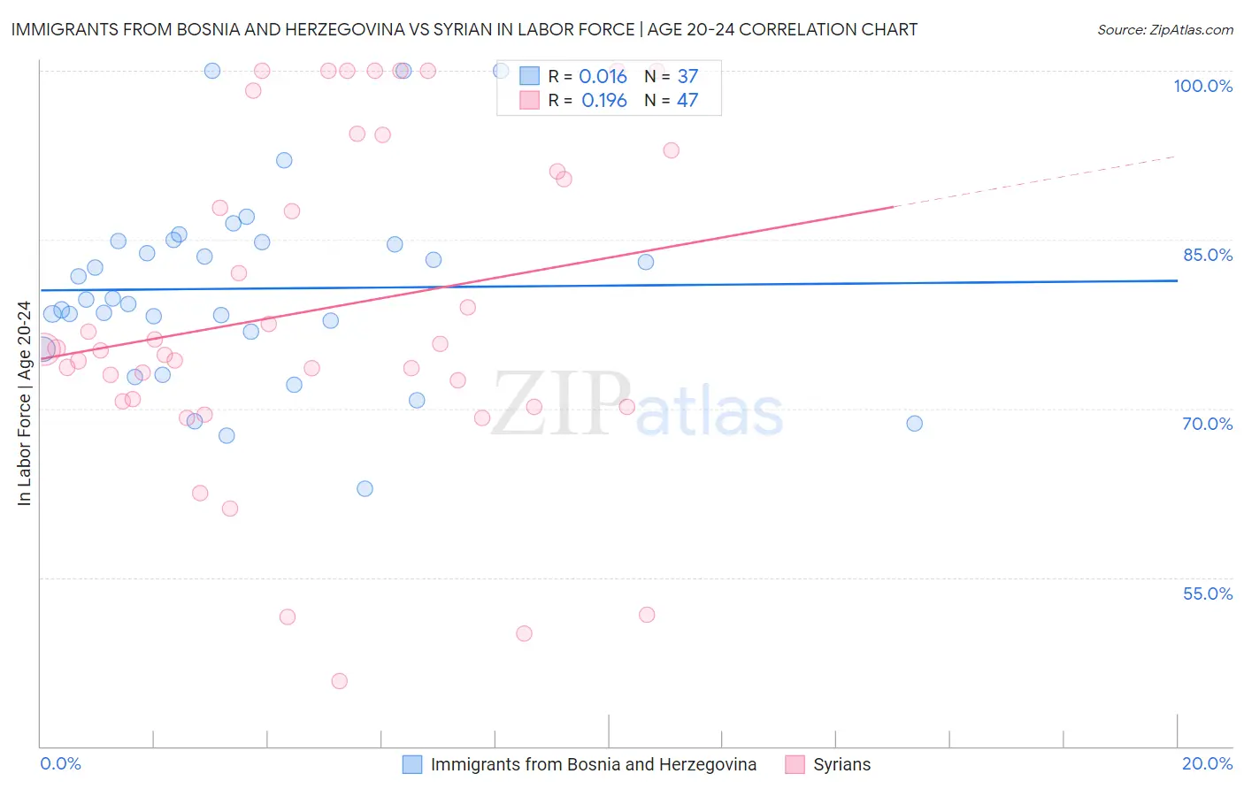 Immigrants from Bosnia and Herzegovina vs Syrian In Labor Force | Age 20-24