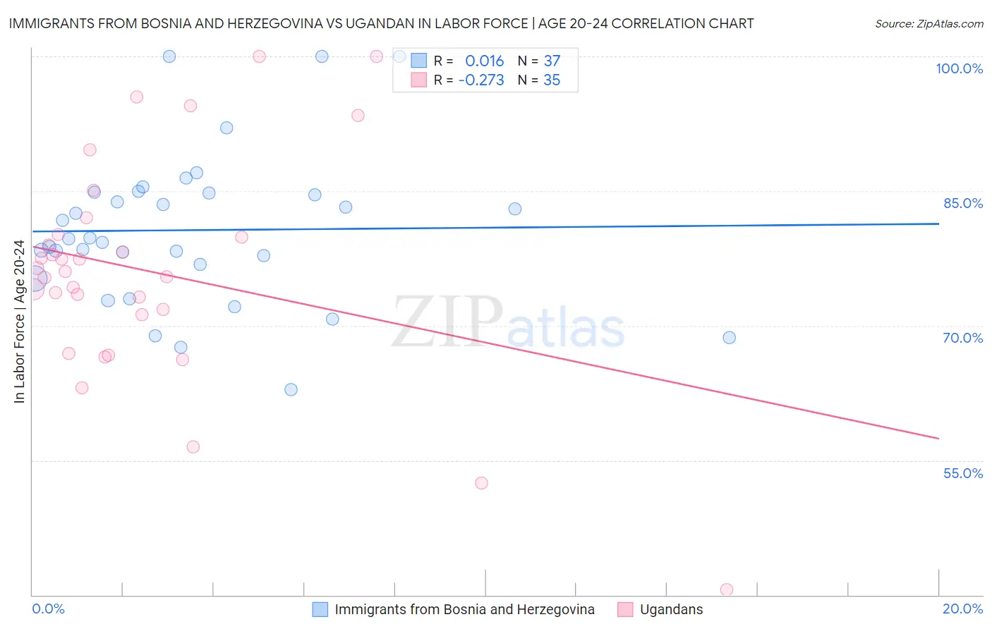 Immigrants from Bosnia and Herzegovina vs Ugandan In Labor Force | Age 20-24
