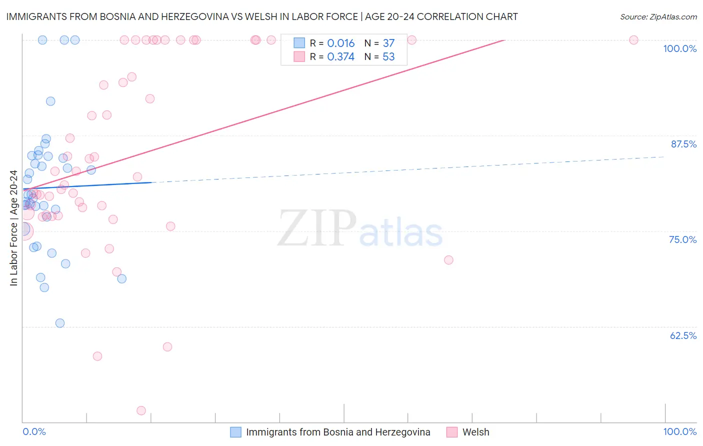 Immigrants from Bosnia and Herzegovina vs Welsh In Labor Force | Age 20-24