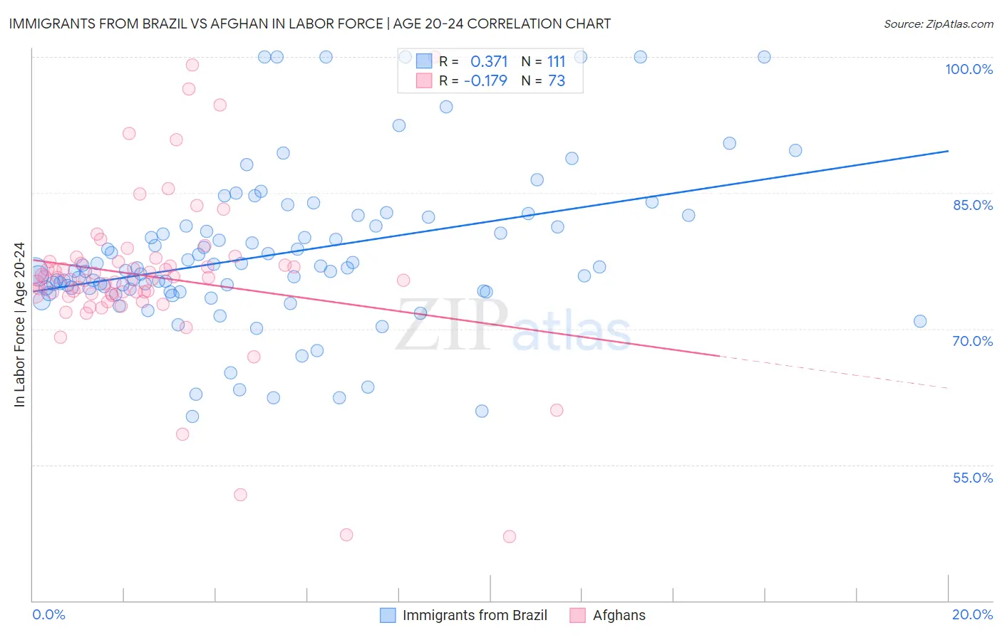 Immigrants from Brazil vs Afghan In Labor Force | Age 20-24
