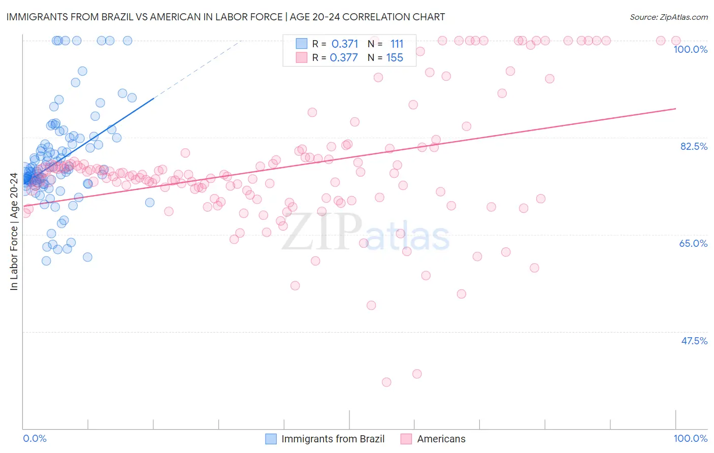 Immigrants from Brazil vs American In Labor Force | Age 20-24