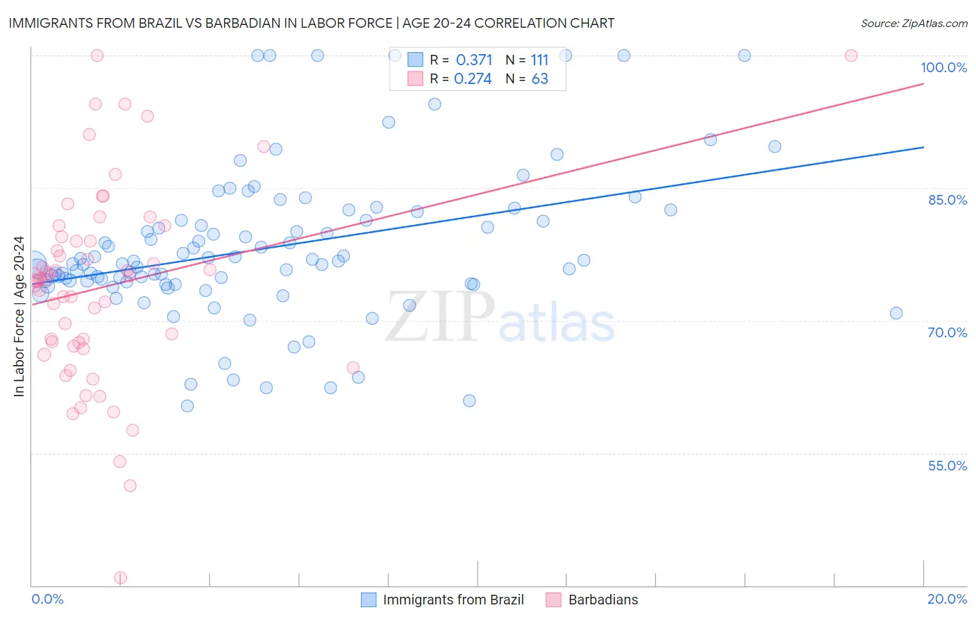 Immigrants from Brazil vs Barbadian In Labor Force | Age 20-24