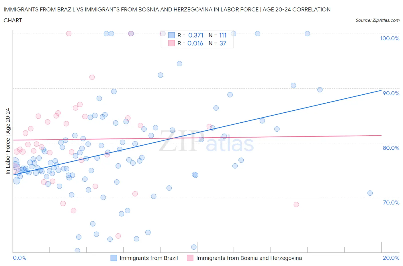 Immigrants from Brazil vs Immigrants from Bosnia and Herzegovina In Labor Force | Age 20-24