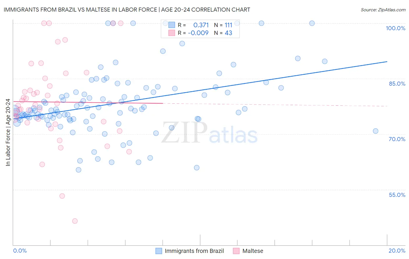 Immigrants from Brazil vs Maltese In Labor Force | Age 20-24