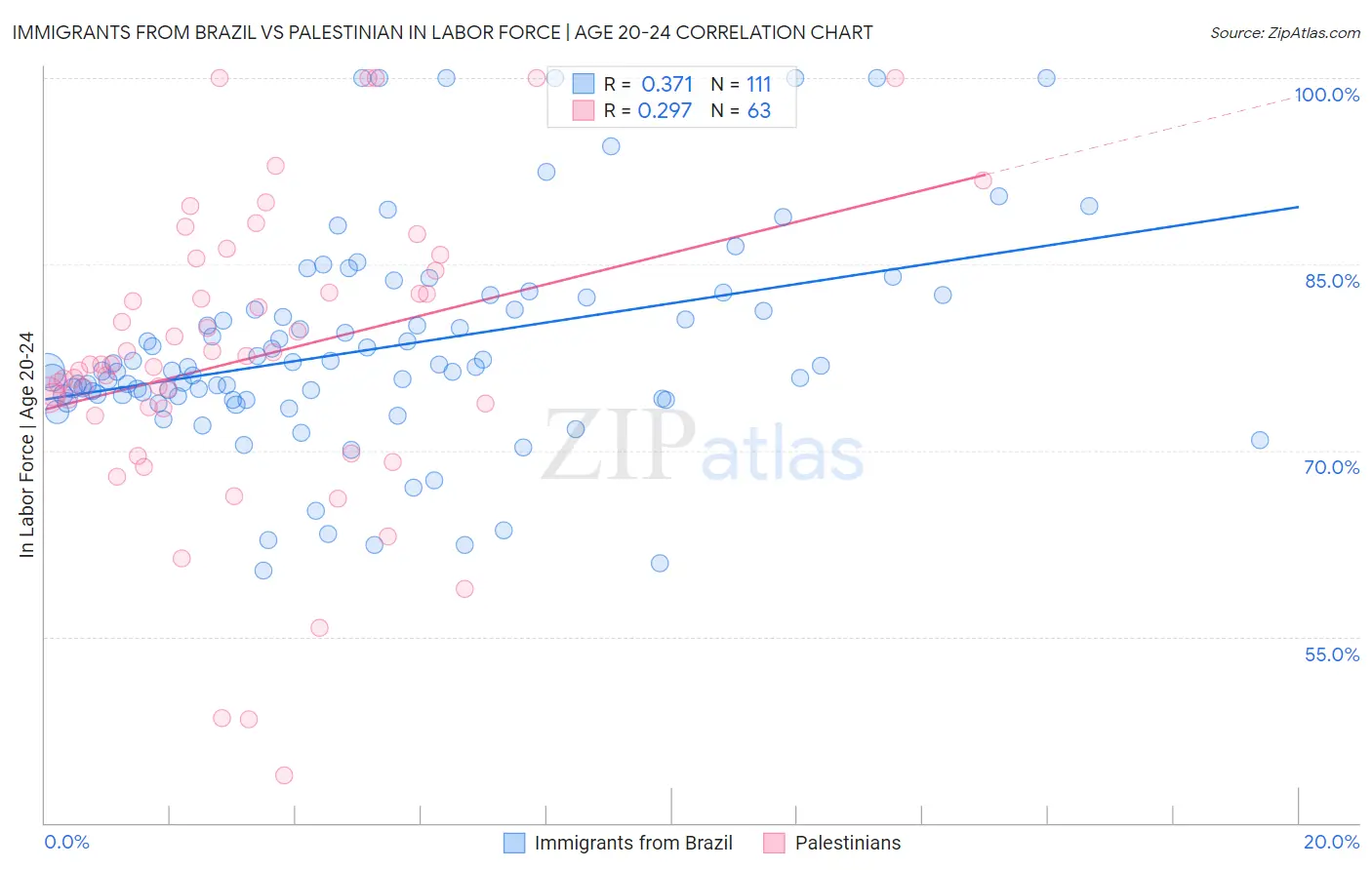 Immigrants from Brazil vs Palestinian In Labor Force | Age 20-24