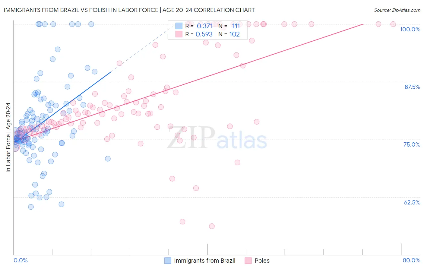 Immigrants from Brazil vs Polish In Labor Force | Age 20-24