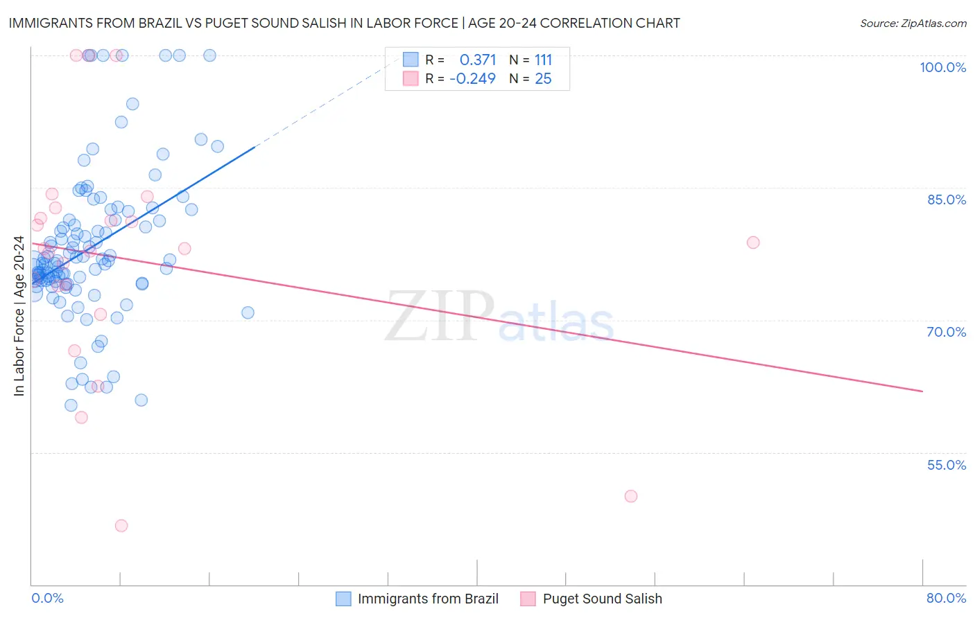 Immigrants from Brazil vs Puget Sound Salish In Labor Force | Age 20-24