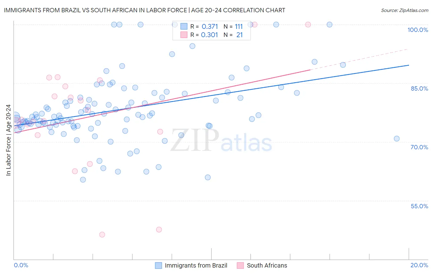 Immigrants from Brazil vs South African In Labor Force | Age 20-24
