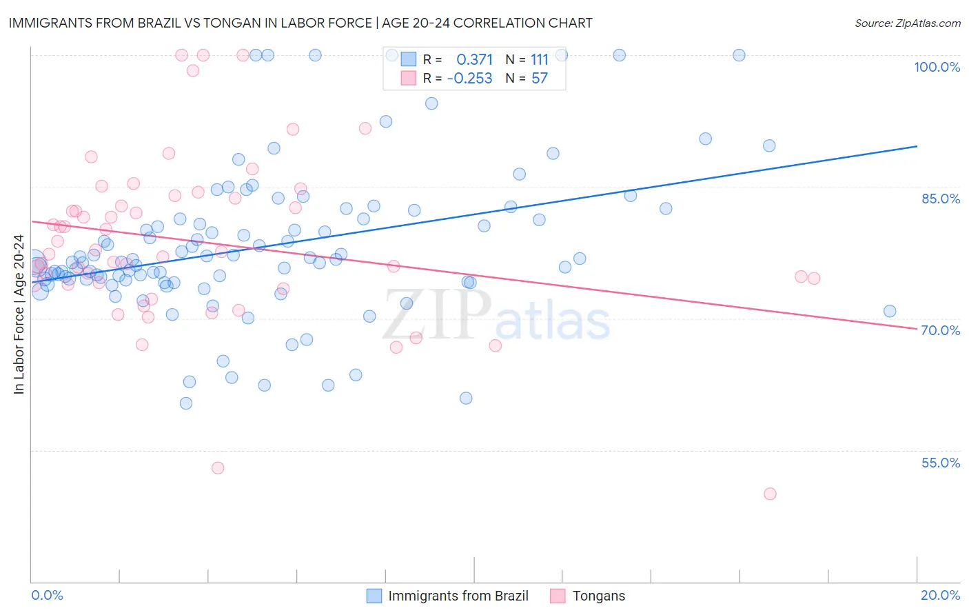 Immigrants from Brazil vs Tongan In Labor Force | Age 20-24