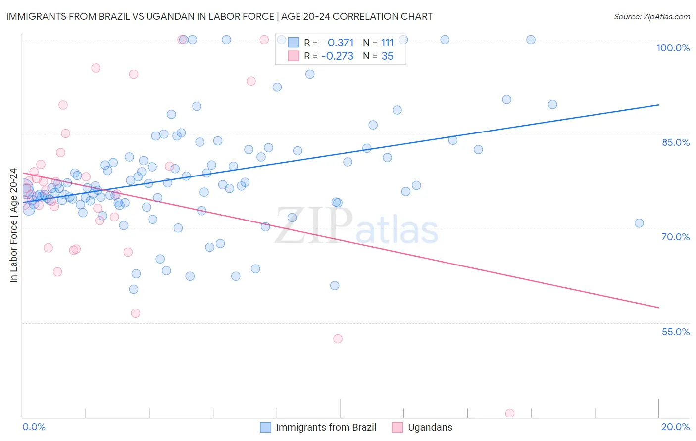 Immigrants from Brazil vs Ugandan In Labor Force | Age 20-24