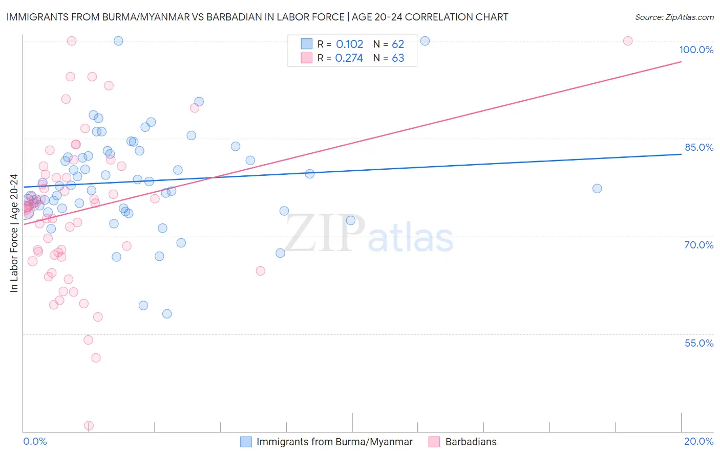 Immigrants from Burma/Myanmar vs Barbadian In Labor Force | Age 20-24