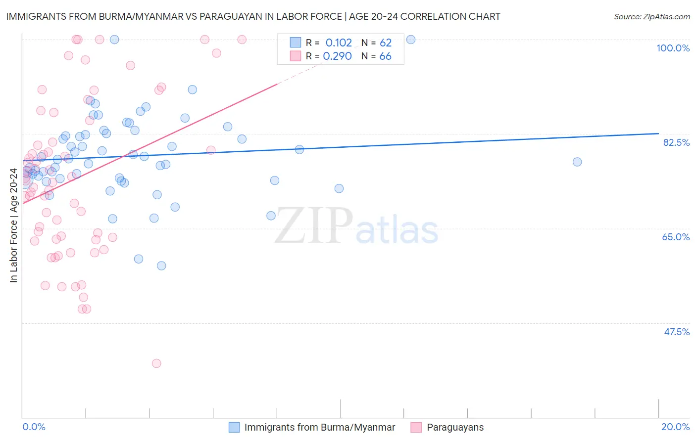Immigrants from Burma/Myanmar vs Paraguayan In Labor Force | Age 20-24