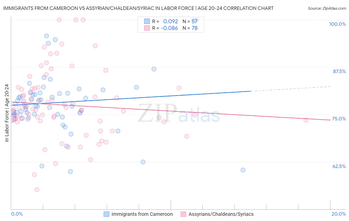 Immigrants from Cameroon vs Assyrian/Chaldean/Syriac In Labor Force | Age 20-24