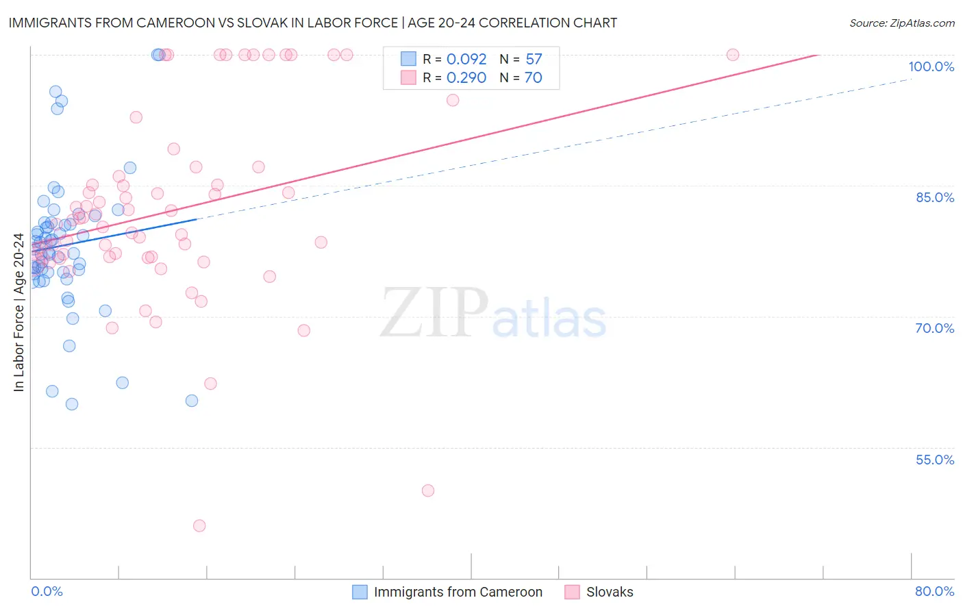 Immigrants from Cameroon vs Slovak In Labor Force | Age 20-24