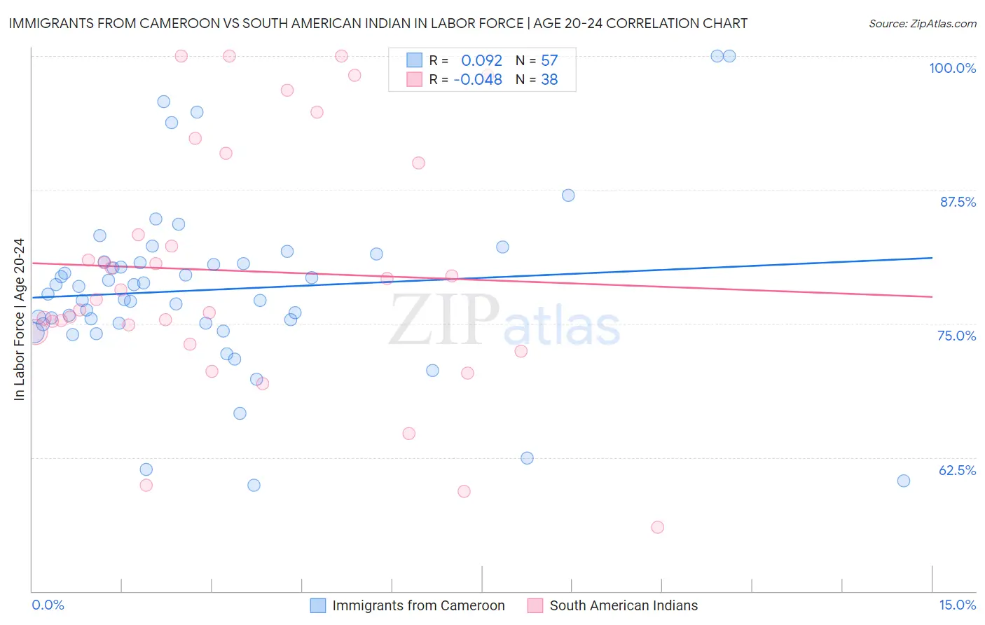 Immigrants from Cameroon vs South American Indian In Labor Force | Age 20-24