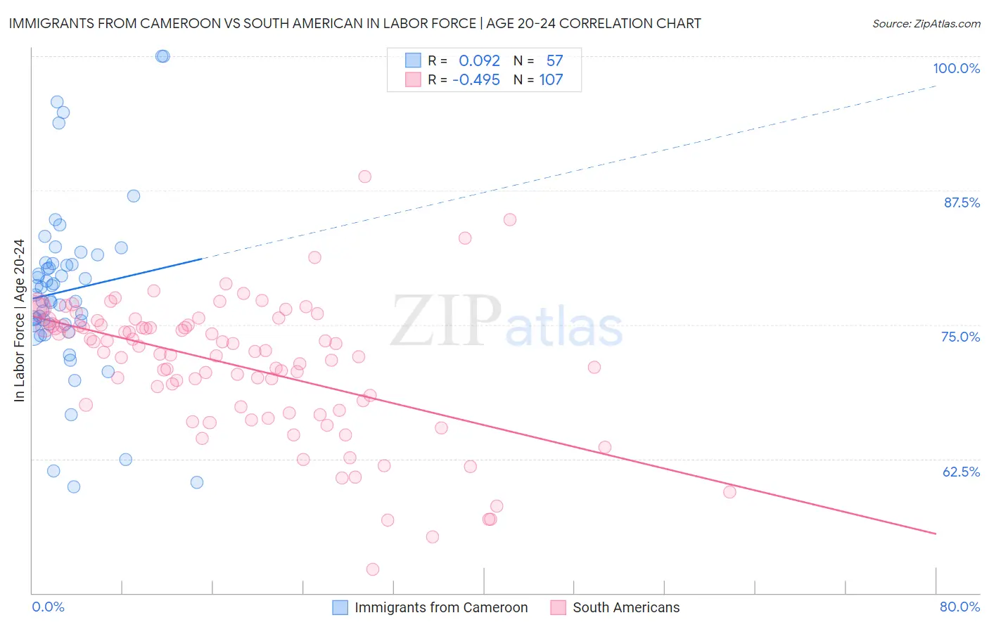Immigrants from Cameroon vs South American In Labor Force | Age 20-24