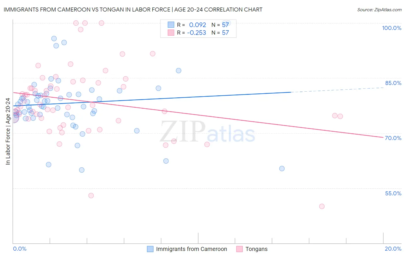 Immigrants from Cameroon vs Tongan In Labor Force | Age 20-24
