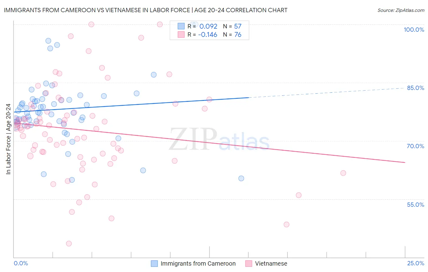 Immigrants from Cameroon vs Vietnamese In Labor Force | Age 20-24