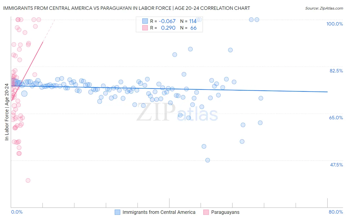 Immigrants from Central America vs Paraguayan In Labor Force | Age 20-24