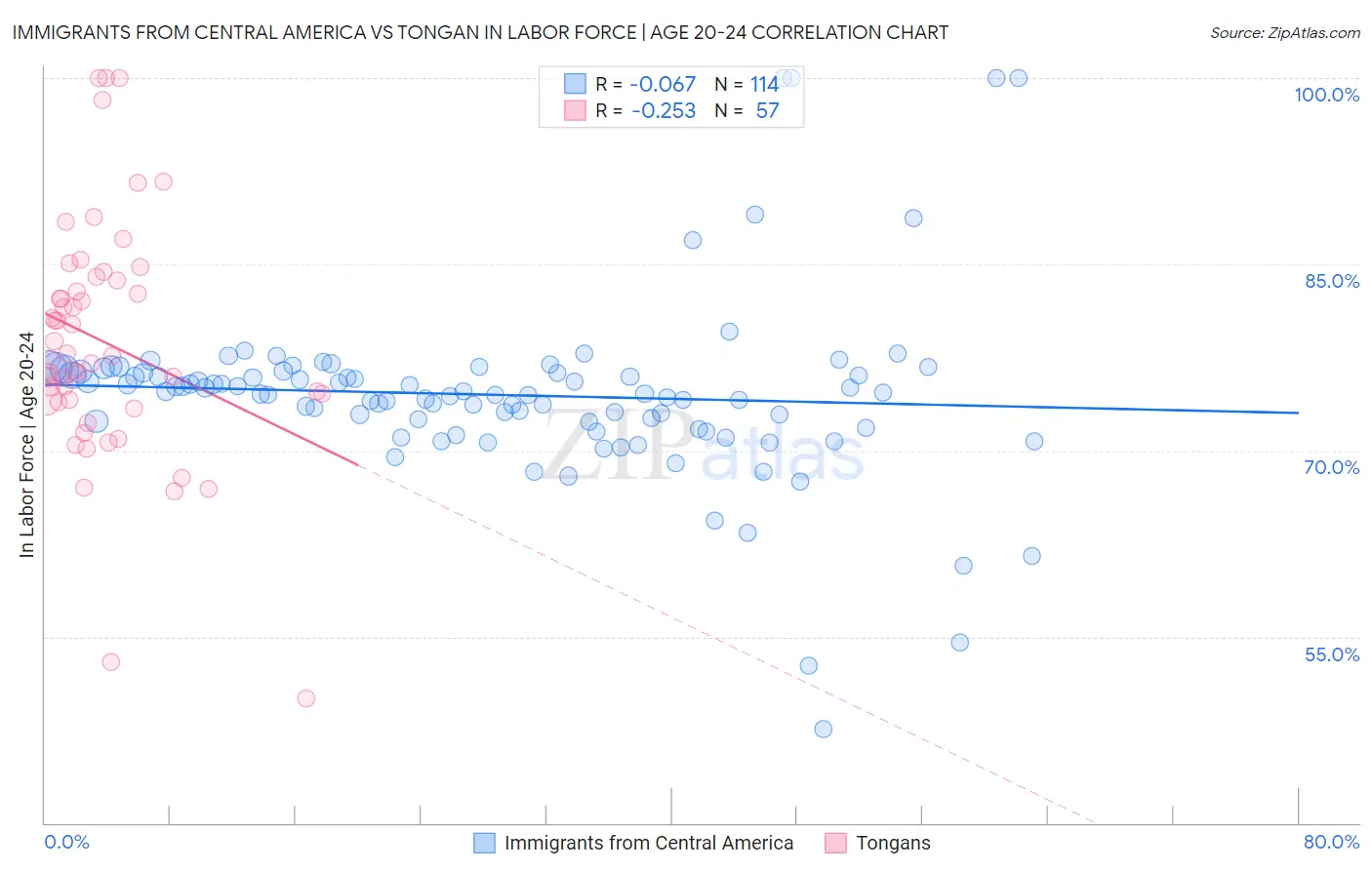 Immigrants from Central America vs Tongan In Labor Force | Age 20-24