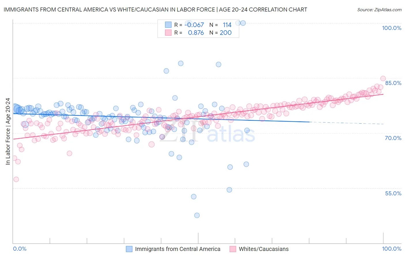 Immigrants from Central America vs White/Caucasian In Labor Force | Age 20-24