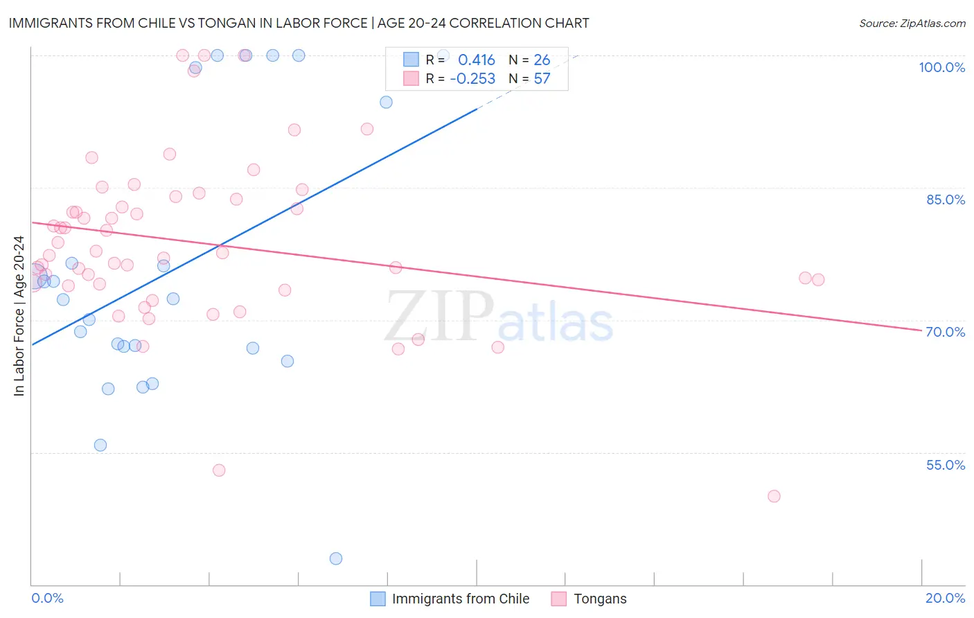 Immigrants from Chile vs Tongan In Labor Force | Age 20-24