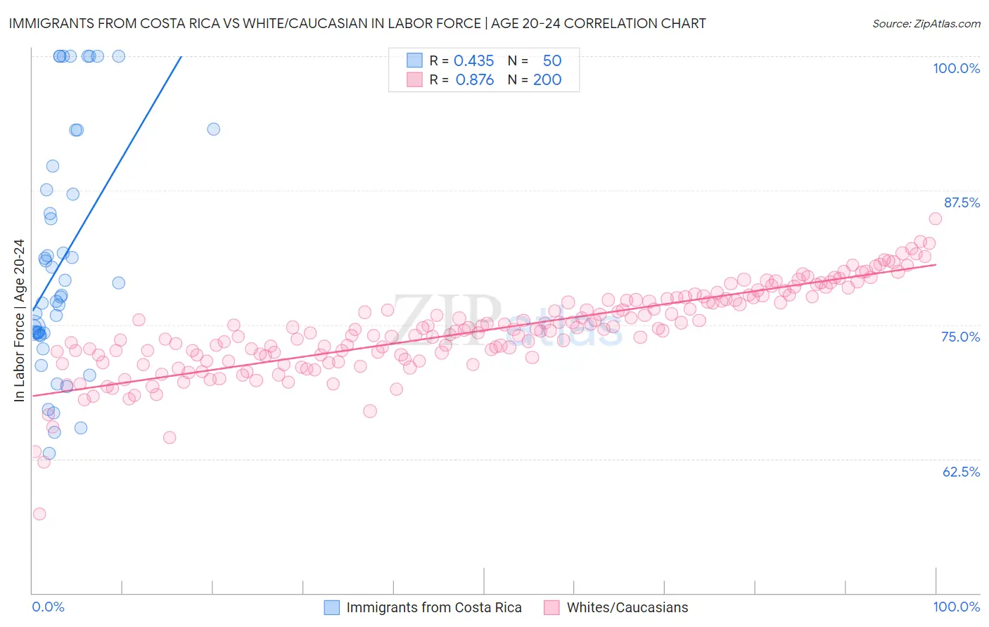 Immigrants from Costa Rica vs White/Caucasian In Labor Force | Age 20-24