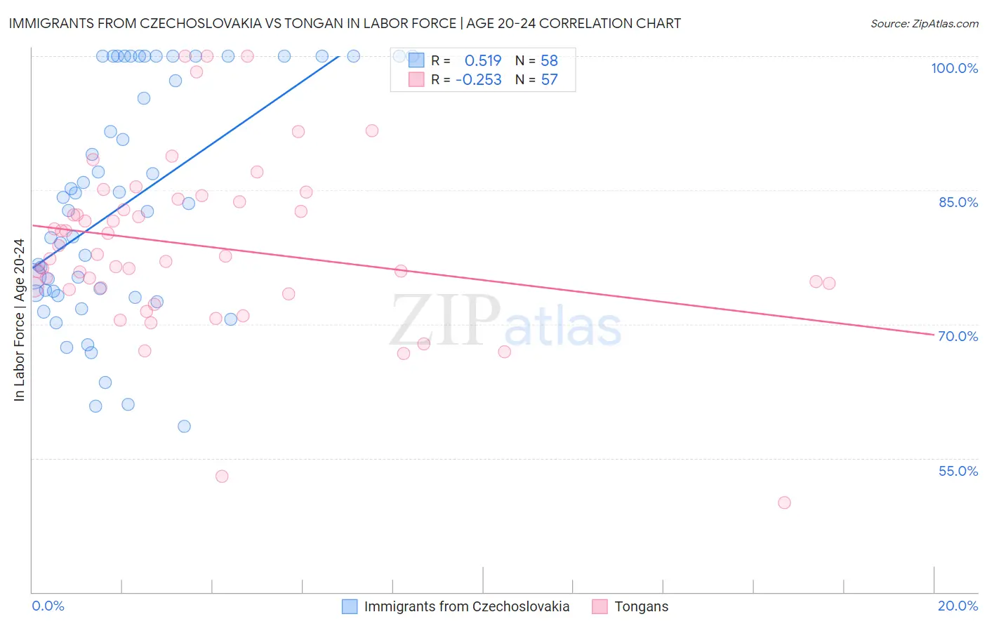 Immigrants from Czechoslovakia vs Tongan In Labor Force | Age 20-24