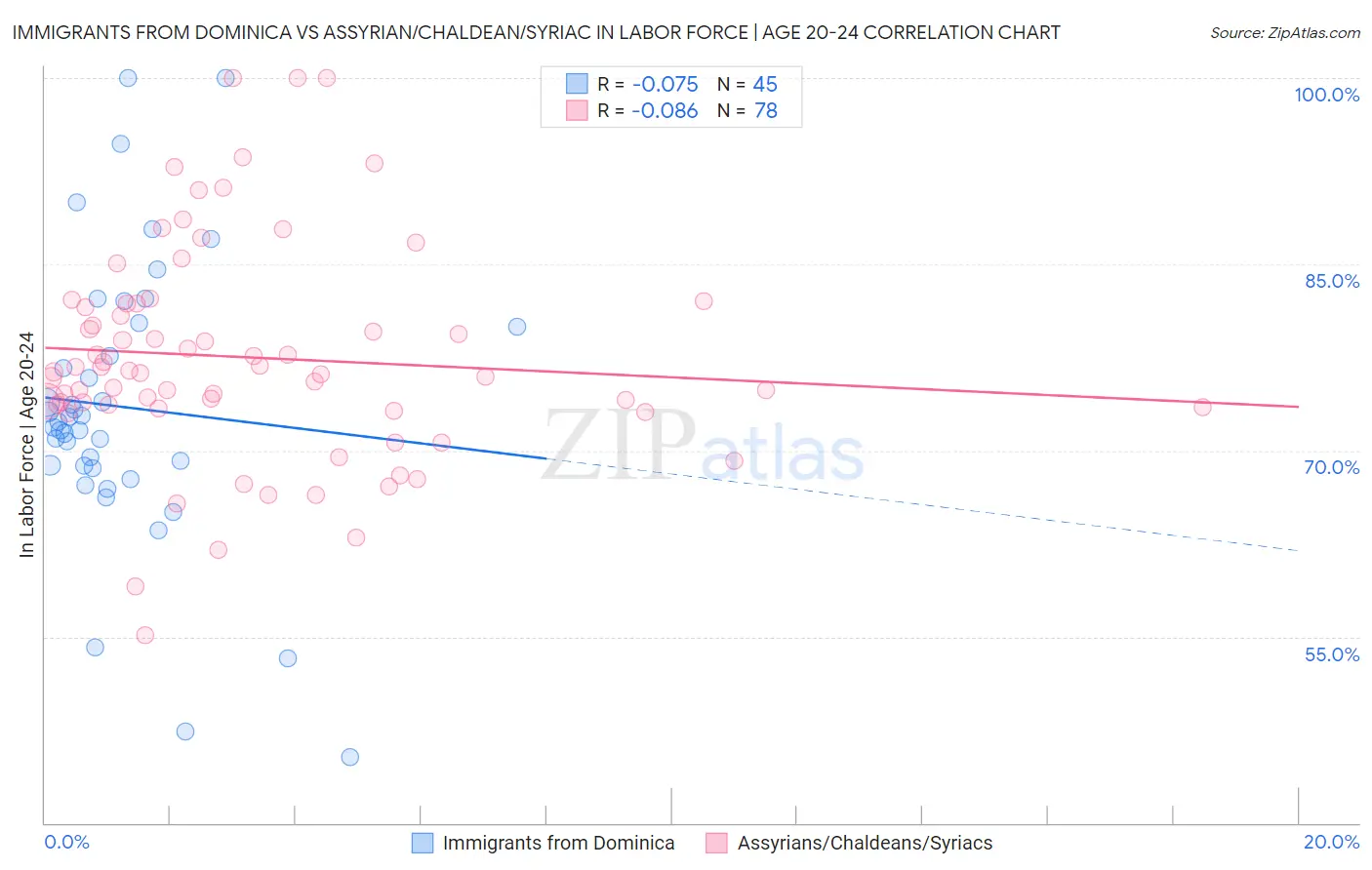 Immigrants from Dominica vs Assyrian/Chaldean/Syriac In Labor Force | Age 20-24