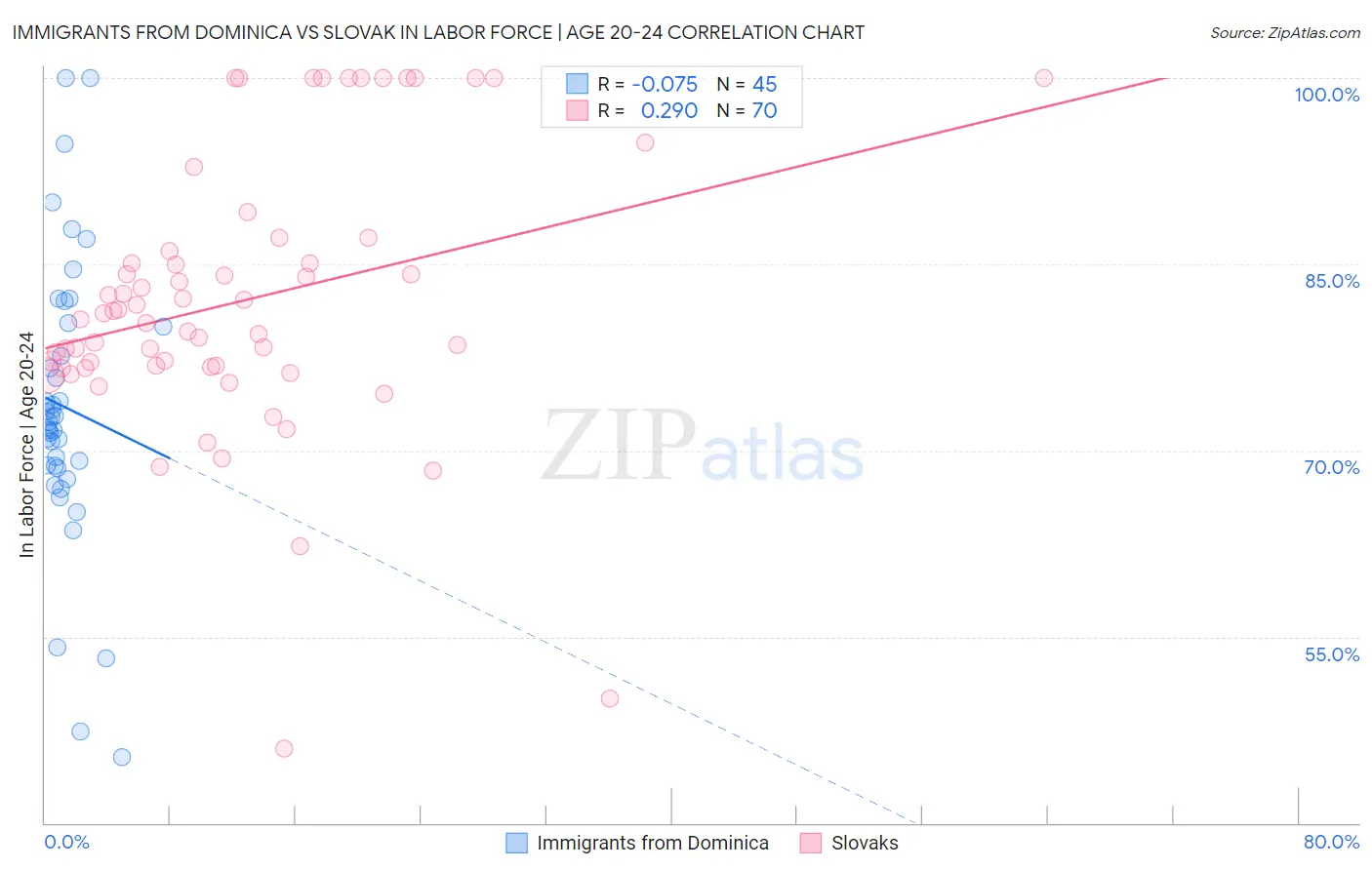 Immigrants from Dominica vs Slovak In Labor Force | Age 20-24