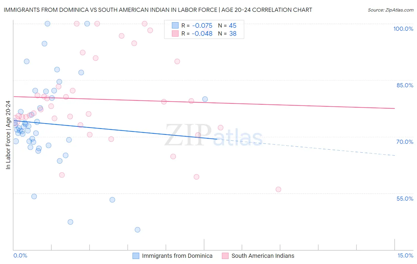 Immigrants from Dominica vs South American Indian In Labor Force | Age 20-24