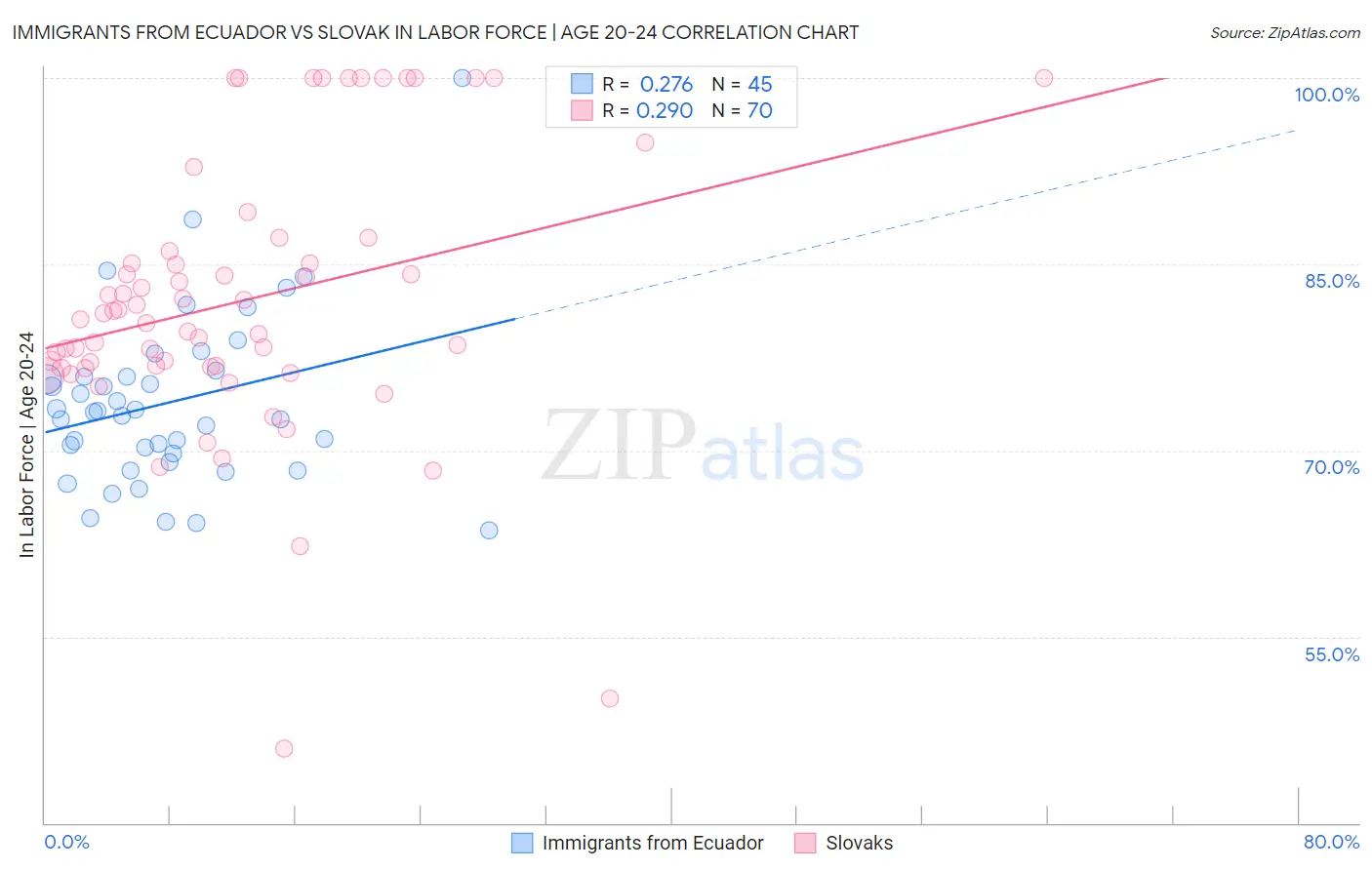 Immigrants from Ecuador vs Slovak In Labor Force | Age 20-24