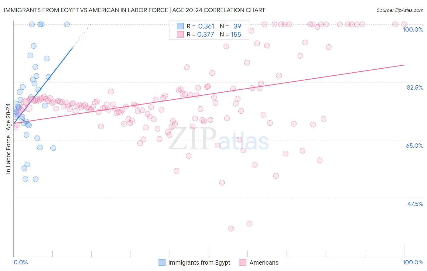 Immigrants from Egypt vs American In Labor Force | Age 20-24