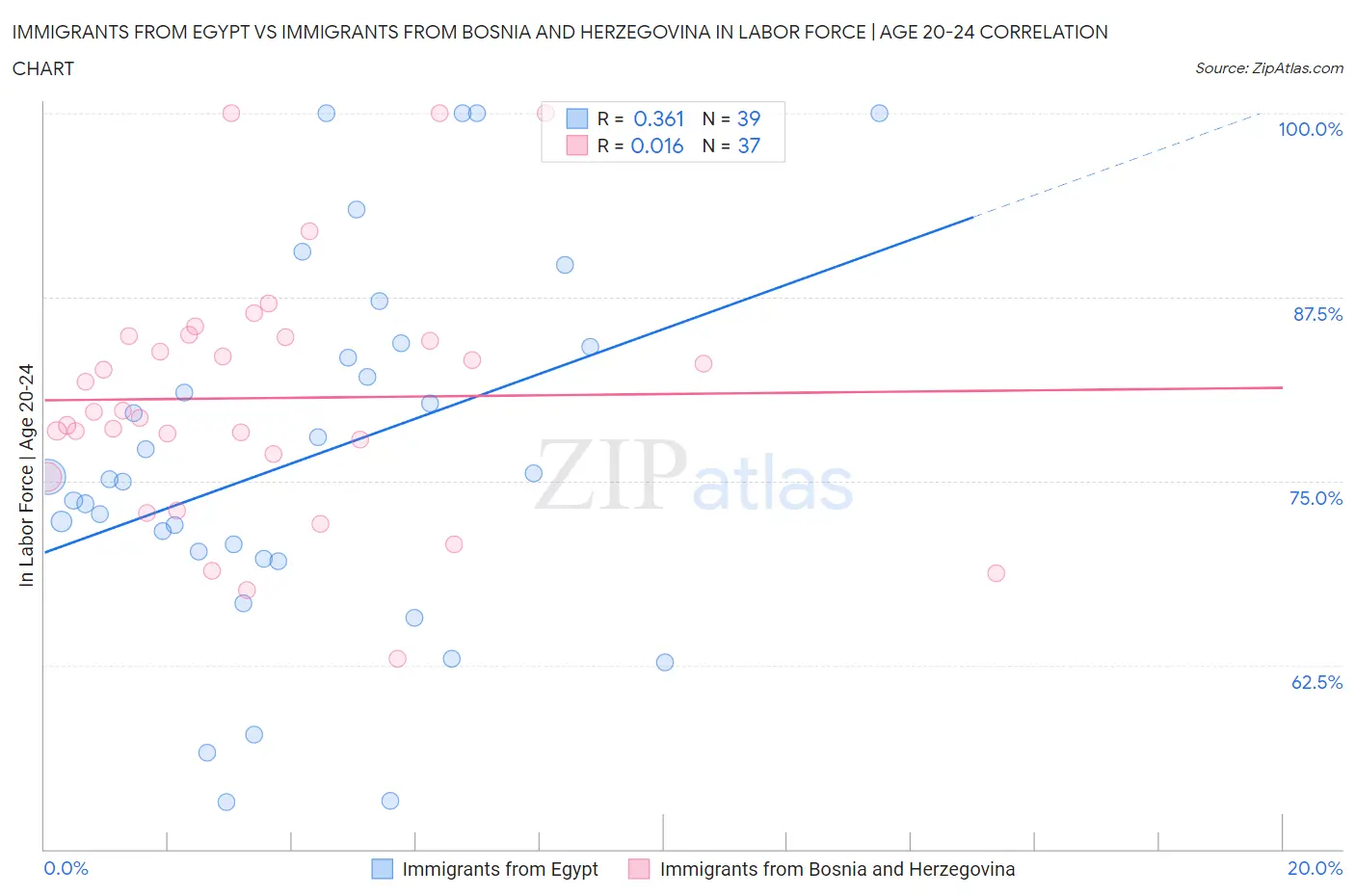 Immigrants from Egypt vs Immigrants from Bosnia and Herzegovina In Labor Force | Age 20-24