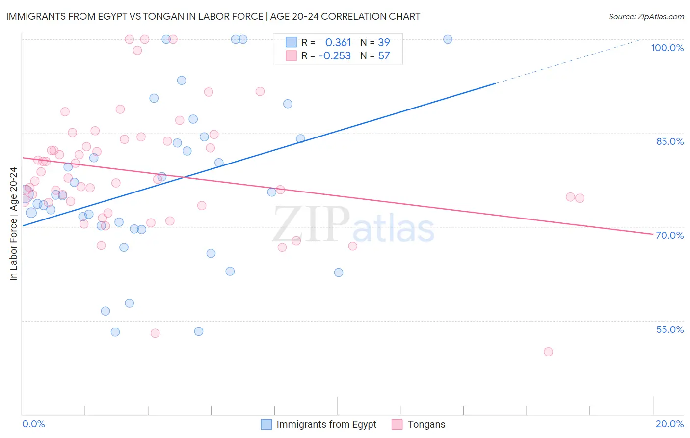 Immigrants from Egypt vs Tongan In Labor Force | Age 20-24