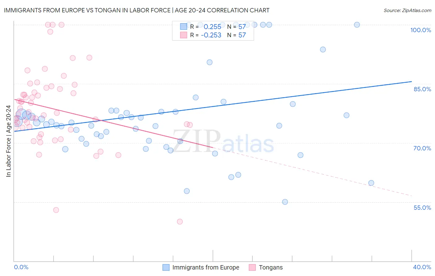 Immigrants from Europe vs Tongan In Labor Force | Age 20-24