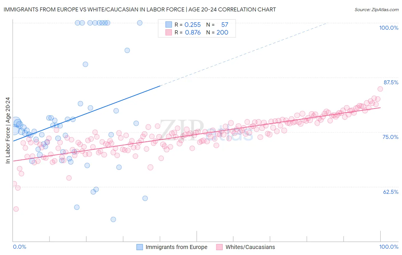 Immigrants from Europe vs White/Caucasian In Labor Force | Age 20-24