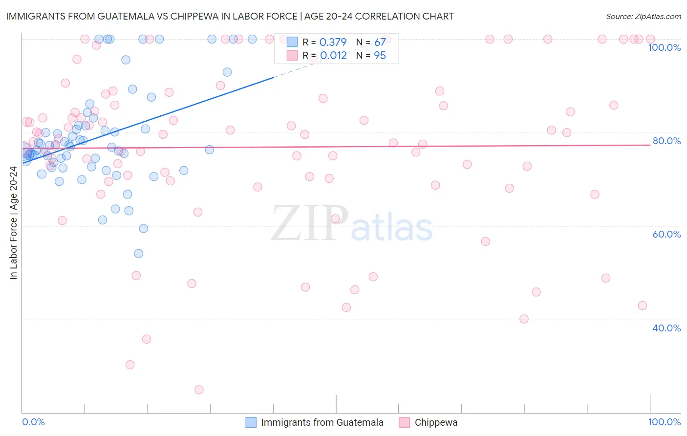 Immigrants from Guatemala vs Chippewa In Labor Force | Age 20-24