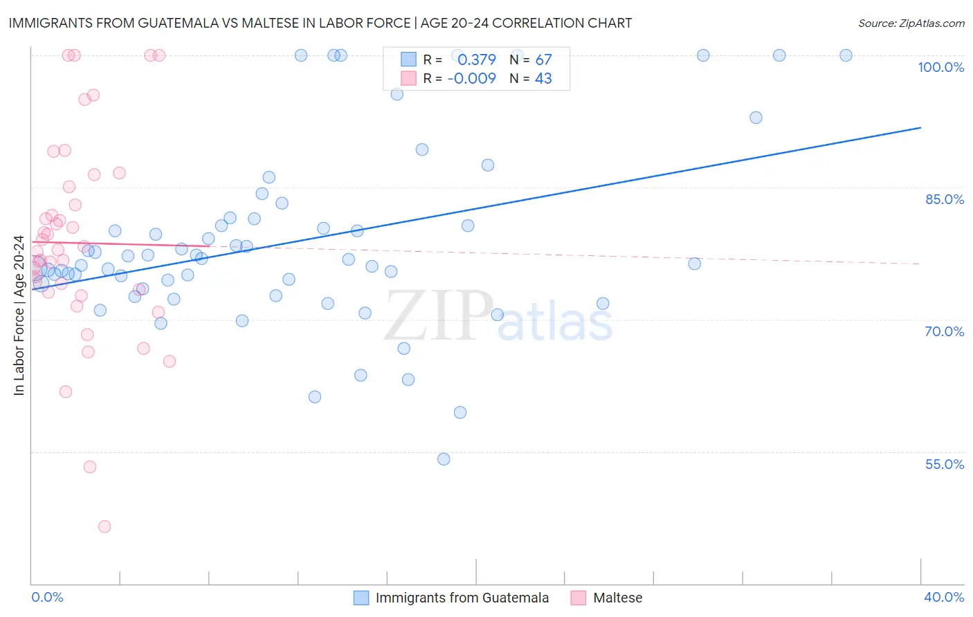Immigrants from Guatemala vs Maltese In Labor Force | Age 20-24