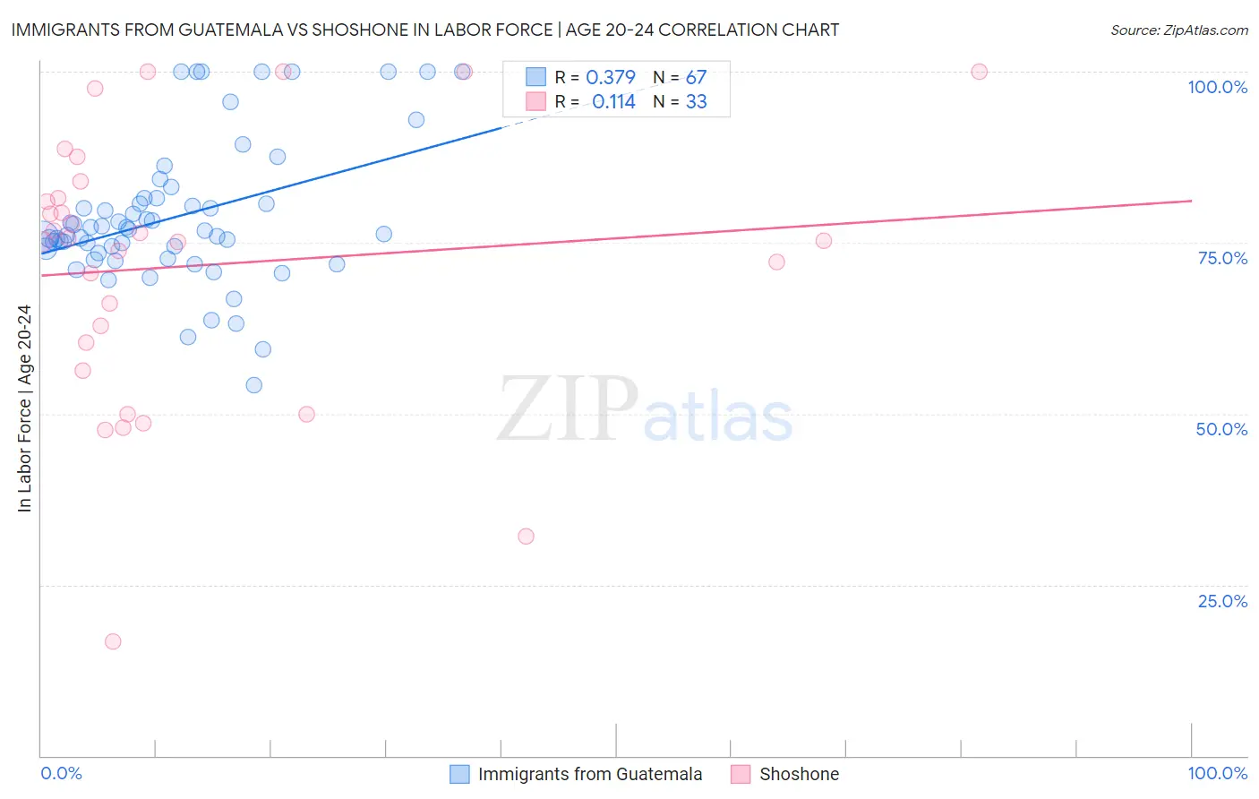 Immigrants from Guatemala vs Shoshone In Labor Force | Age 20-24