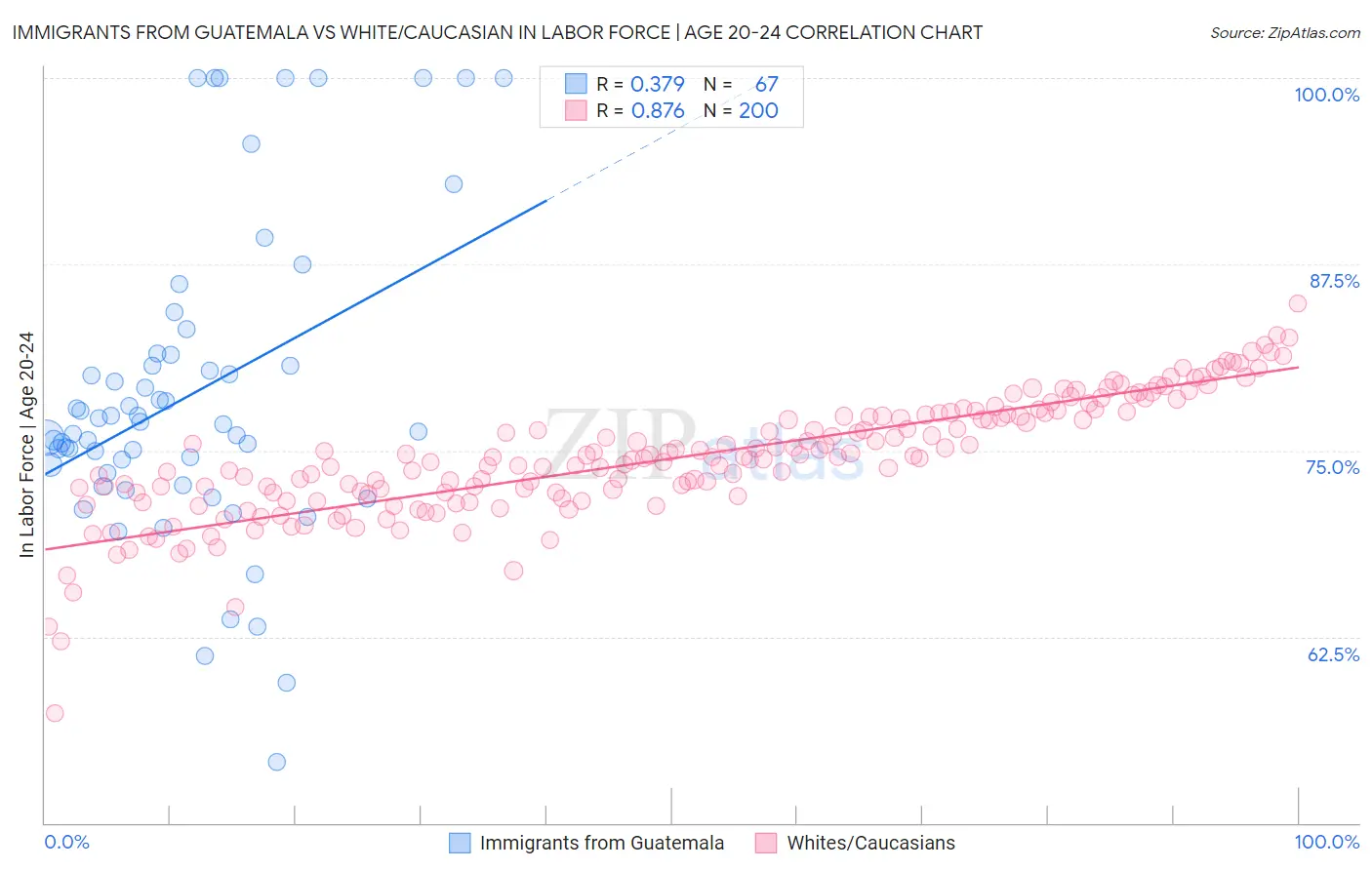 Immigrants from Guatemala vs White/Caucasian In Labor Force | Age 20-24