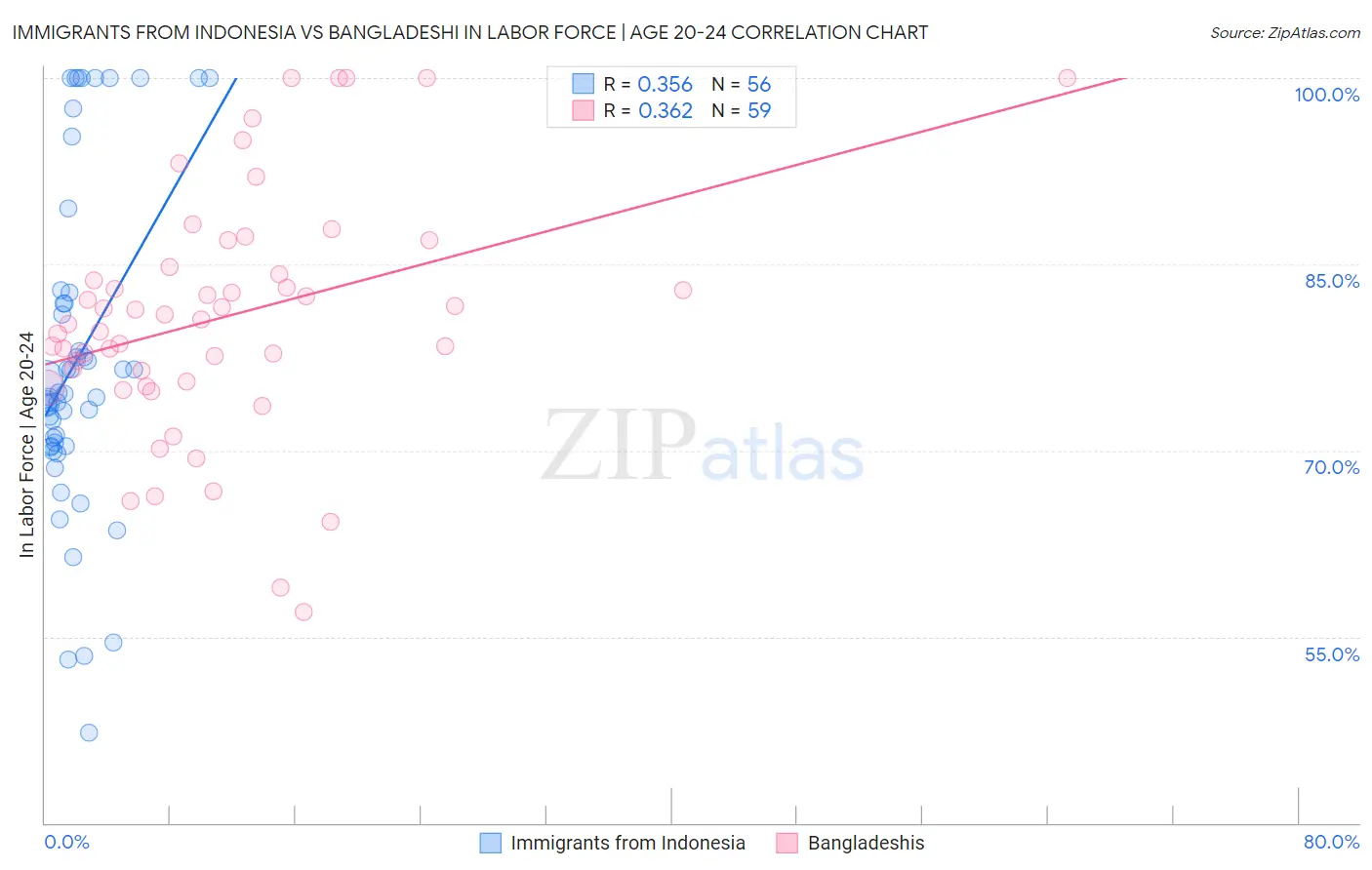 Immigrants from Indonesia vs Bangladeshi In Labor Force | Age 20-24