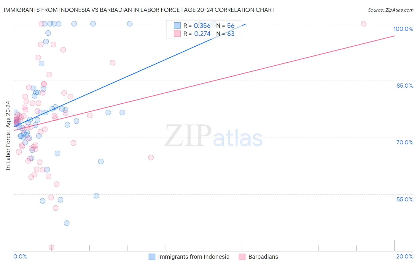 Immigrants from Indonesia vs Barbadian In Labor Force | Age 20-24