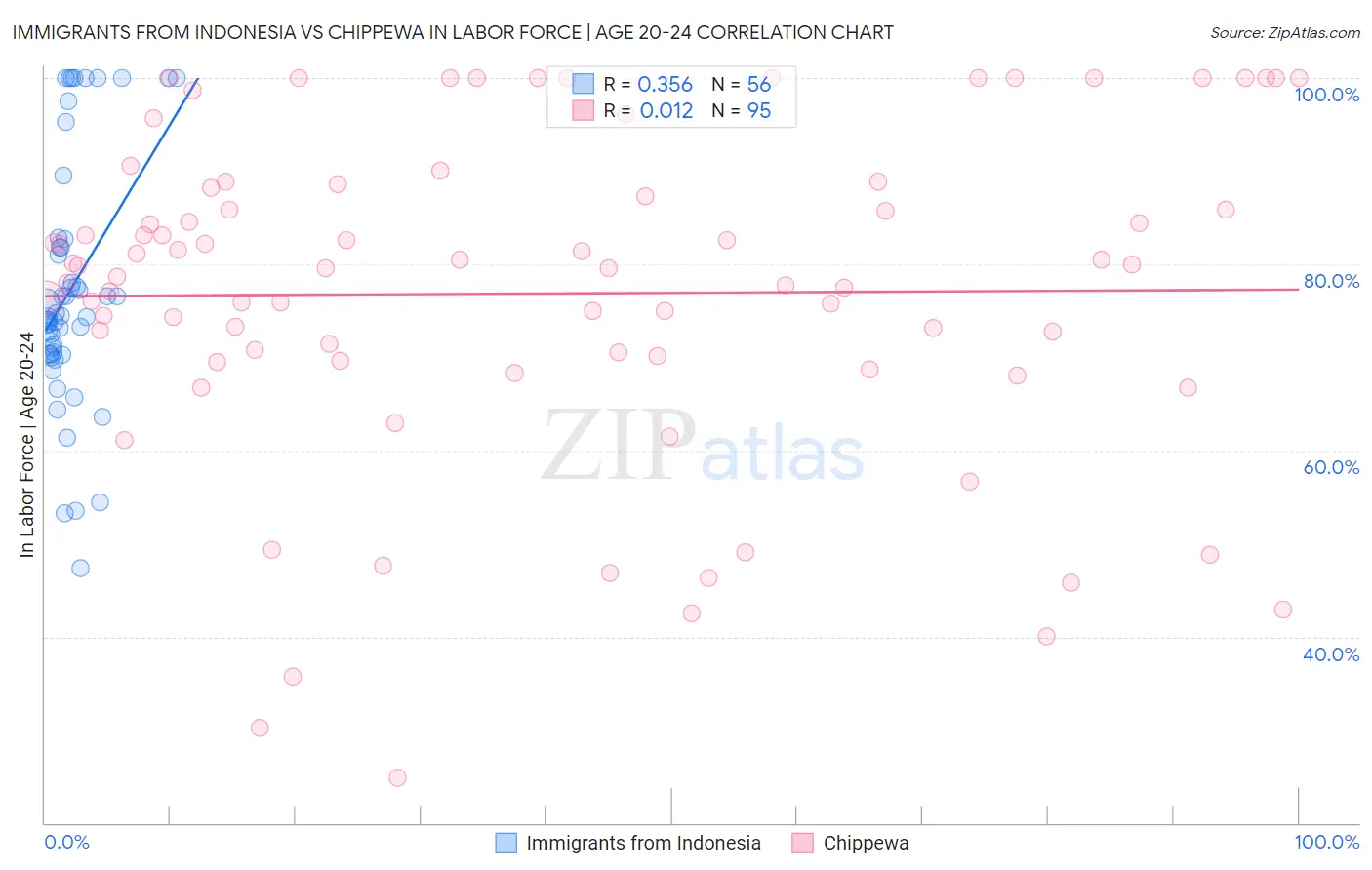 Immigrants from Indonesia vs Chippewa In Labor Force | Age 20-24